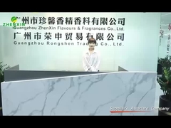 Introdução da empresa