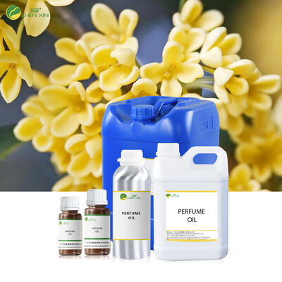 Brand Perfume Oil High Quality French Perfume Oil Body Oil Fragrance Wholesale Bulk Custom Perfume Fragrance