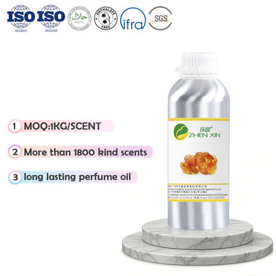 Fragrância Ambarada Forte Perfume Amadeirado Essência de Óleo para Body Spray